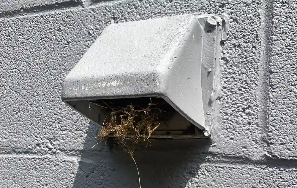 Choose Safety and Expertise